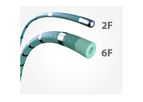 EPstar - Model 2F & 6F - Fixed Electrophysiology Catheters
