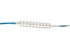 QT-Vascular Chocolate - Model PTCA - Balloon Catheter