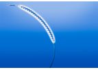 Chocolate - Landscape of Drug-Coated Balloons Catheter