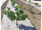 Hempoint - Mulch fabric - Organic Hemp