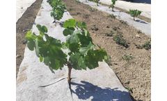 Hempoint - Mulch fabric - Organic Hemp