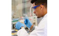 Expert Analytical Formulation Services