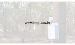 Sap Flow Sensor Installation - Video