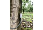 Implexx Sap Flow Sensor