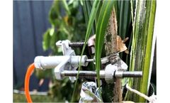 Implexx - Model SD-5T - Stem Dendrometers