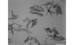 Nake-Nano - Model NNB02 - Hydroxyapatite