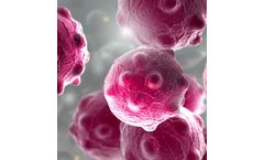 Engineering the Death of Cancer Cells
