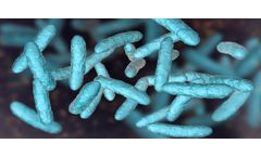 CD Formulation Offers Multiple Methods for Microbial Limit Test