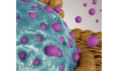 Analyzing Delivery Systems: CD Formulation Introduces In Vitro Testing to Measure Microsphere and Microneedle Release