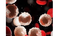 Hematopoietic stem cells - HSC