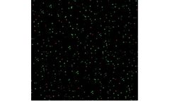 ONI - Model FRET (smFRET) - Single-Molecule Microscopy Technology