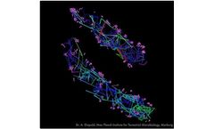ONI - Single-Particle Tracking Technology (SPT)