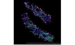 ONI - Model PALM - Super-Resolution Microscopy Technique
