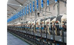 Van dinther - Model Comfort - Goat- Or Sheep Milking Parlour