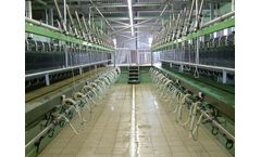 Van dinther - Model Footloose - Goat- Or Sheep Milking Parlour