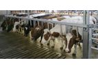 Van dinther - Model Compact - Rapid Exit Milking Parlour
