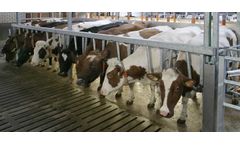 Van dinther - Model Compact - Rapid Exit Milking Parlour