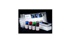 Model P/N NOD HbL-G14026-100 + Plus - HbA1c Liquid Diabetes Linearity Products