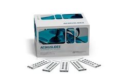 Aeskuslides - nDNA (Crithidia Luciliae) Test Kits