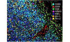 Ionpath - Antibody Panels Services