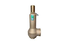 Bailey - Model 716VSD - Aflas Disk with Dome Top Safety Relief Valve