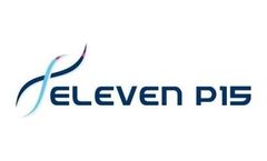 Development Services