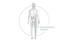 osteomiR - microRNA Biomarkers Kit of Bone Quality
