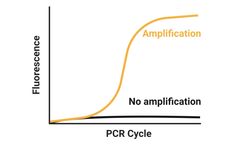 RT-qPCR Services