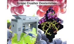 Taizy - Model 10 - Electric Grape Crusher