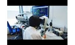 EIZO CuratOR - Visual Solutions for the Operating Room - Video