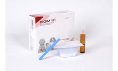 Veterinary Surgery Bone Cement