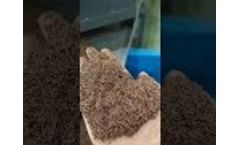 V C10 copper cable Granulator machine to recycle scrap copper wire - Video