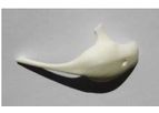 Bioverit - Glass Ceramics
