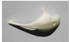 Bioverit - Glass Ceramics