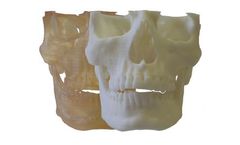 3di - Acrylate Hard Tissue Model