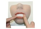 3di - Model Lip - Soft Tissue Model