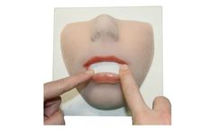 3di - Model Lip - Soft Tissue Model