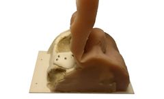 3di - Individual Planning Soft Tissue Model