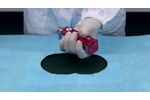 Palium Soft Tissues Automatic Reusable Biopsy Gun - Video