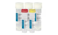 FIREPol - DNA Polymerase