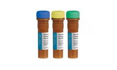 HOT FIREPol EvaGreen - Model qPCR Mix Plus(ROX) - Dye-based Real-time Quantitative PCR