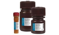 HOT FIREPol - Probe Universal qPCR Mix