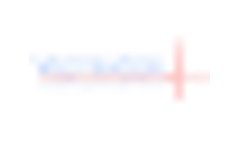 Connect to a Technician Services