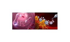 Theramx - Drug Delivery Platform Technology Based on Nano-bio Materials