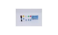 Tellgen - SARS-CoV-2 Nucleic Acid Detection Kit