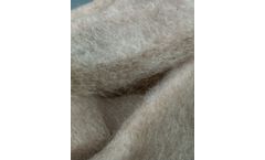 Silver Alginate Dressings