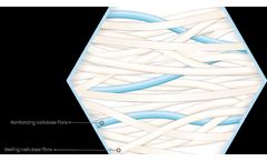 Reinforced Alginate Dressings