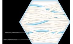 Modified Cellulose Dressings