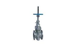 Ridhiman - Slab Gate Valves