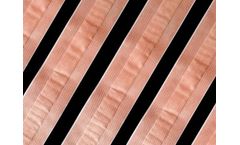 Coluxia - Elastic Adhesive Strip